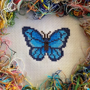 Puede incluir: Un patrón de punto de cruz de una mariposa azul sobre tela Aida blanca. La mariposa está bordada con hilo azul y marrón.