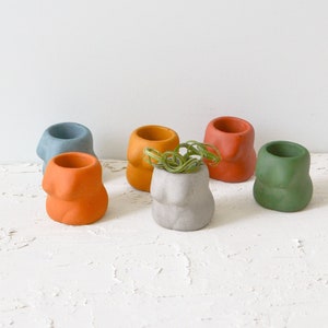 May include: Six small ceramic planters in various colours, including orange, blue, green, and grey. One planter has a small green plant growing in it.