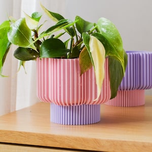 Puede incluir: Una maceta acanalada de color rosa y lavanda con una base cilíndrica y una sección superior más ancha y estriada. La maceta contiene una planta filodendro variegada en verde y crema con gotas de agua en las hojas. Se ve otra maceta igual detrás.
