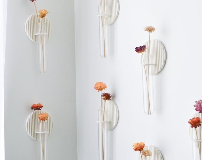 3D Printed Propagation Vase: Round Textured Wall Hanging with Test Tube