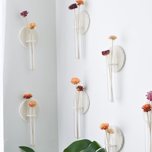Puede incluir: Una pared blanca con seis jarrones de pared redondos, blancos y decorativos con flores secas en ellos. Los jarrones están unidos a la pared con un respaldo circular blanco texturizado. Una gran hoja verde de planta monstera está en primer plano.