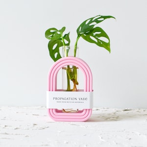 May include: Pink propagation vase with a clear glass tube and a green plant with holes in the leaves. The vase is made from recycled materials and has the text "PROPAGATION VASE" on the label.