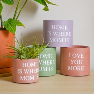 Custom Text Planter | Mothers Day Gift | Plant Mom Gift Bundle with Plant | mother in law | Personalizable planter | Pastel