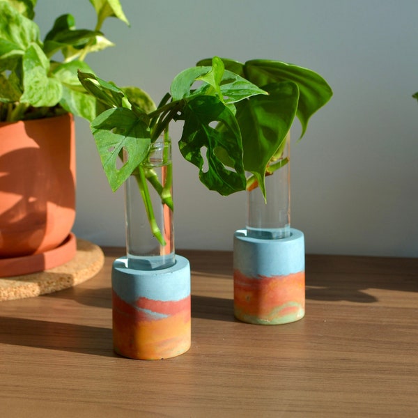 Rainbow Watercolor Concrete Propagation Station | Great Tabletop Decor or Window Decor | Plant Gift | Pride | Glass Test Tube vase