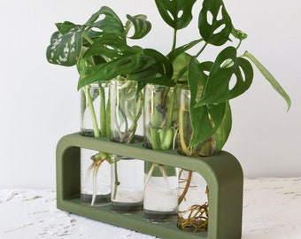 Cement & Borosilicate Glass Propagation Station