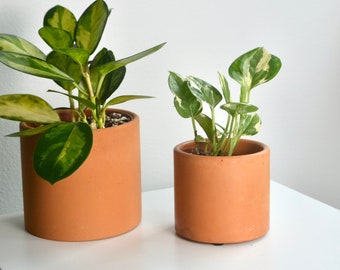 Minimal Modern Terracotta Concrete Planter | Multiple Sizes