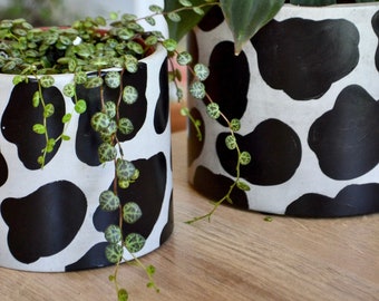 Maceta de hormigón hecha a mano con diseño de vaca: decoración minimalista moderna