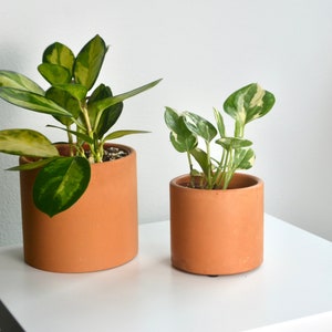 Minimal Modern Terracotta Concrete Planter | Multiple Sizes