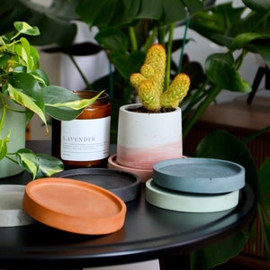 May include: A black table with a variety of plant pots and coasters. The pots are made of concrete and have a light pink, gray, and green color scheme. The coasters are made of concrete and are in shades of brown, gray, and green. The table is surrounded by plants, including a cactus, a monstera plant, and a pothos plant.