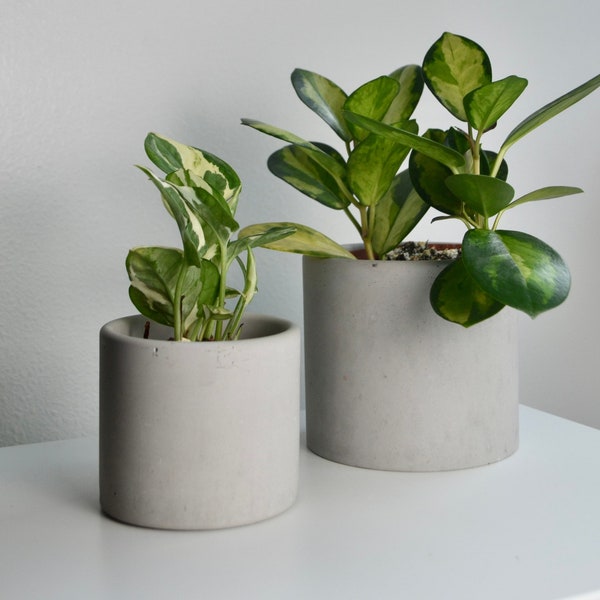Minimal Modern Gray Concrete Planter | Multiple Sizes | texturized concrete pot | industrial modern planter for minimal home | housewarming