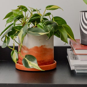May include: A potted plant with green and yellow leaves in a white and orange planter with a terracotta saucer. The plant is on a black surface with a stack of books behind it.