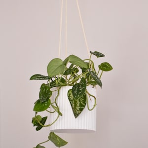 Maceta colgante acanalada: Maceta pequeña Japandi de 10 cm para interior