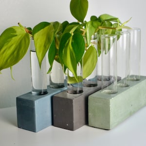 Handmade Concrete Propagation Station: Glass Test Tube Stand
