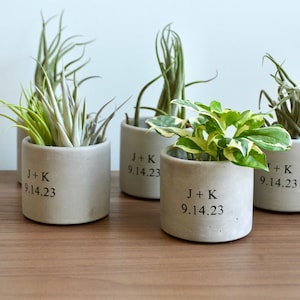 Peut inclure: Quatre petits pots en béton avec le texte "J+K 9.14.23" sur chacun. Les pots sont remplis de différents types de plantes vertes.