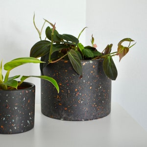 Puede incluir: Dos plantas en maceta con hojas verdes en macetas de terracota negra moteada. La maceta más grande está a la derecha y la más pequeña a la izquierda.
