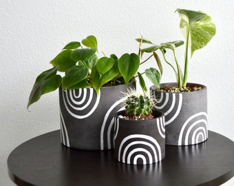 Può includere: Tre vasi in ceramica con motivi bianco e nero con tre piante diverse. I vasi hanno un design geometrico bianco e nero con bordi arrotondati. Le piante includono un cactus, una pianta frondosa e una pianta variegata.