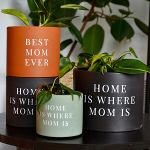 May include: Three potted plants with decorative ceramic pots. The pots are brown, black, and green. The brown pot has the text "Best Mom Ever" printed on it. The black pot has the text "Home is Where Mom Is" printed on it. The green pot has the text "Home is Where Mom Is" printed on it.