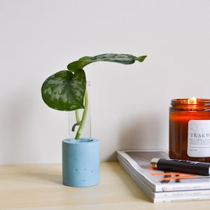 Single propagation concrete vessel with glass test tube | Great housewarming plant gift | Gift under 25 | handmade plant tabletop decor