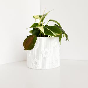 May include: A white ceramic flower pot with a ribbed design and embossed flower details. The pot contains a green plant with variegated leaves. The pot is approximately 5 inches in diameter and 5 inches tall.