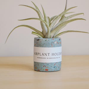 Puede incluir: Un macetero de terrazo azul claro con una etiqueta blanca que dice "AIRPLANT HOLDER HANDMADE IN BROOKLYN, NY" y una planta de aire verde en su interior.