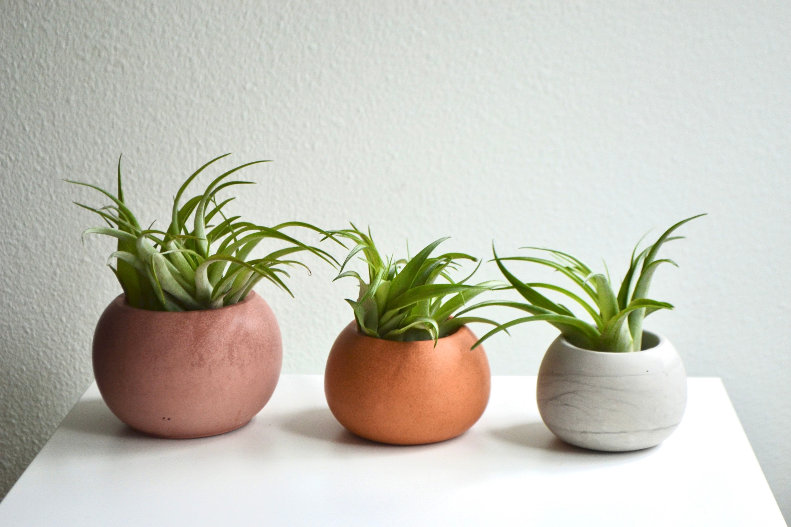 lechuza blumenkasten zubehr Halterung fr Lechuza Balkonkasten  Balconyliving.de