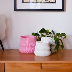 May include: Three textured ceramic planters, one pink and two white, with a green plant in the white planter.