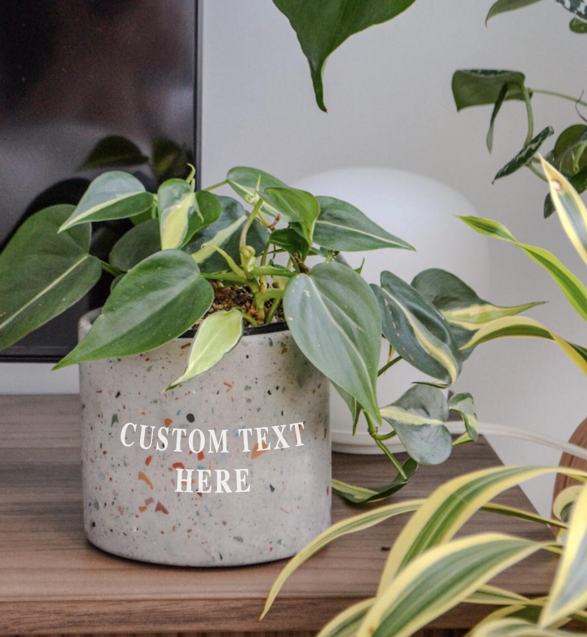 Terrazzo planter 12” - Etsy 日本