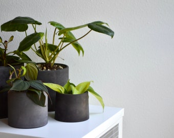 Minimal Modern Charcoal Concrete Planter | Multiple Sizes