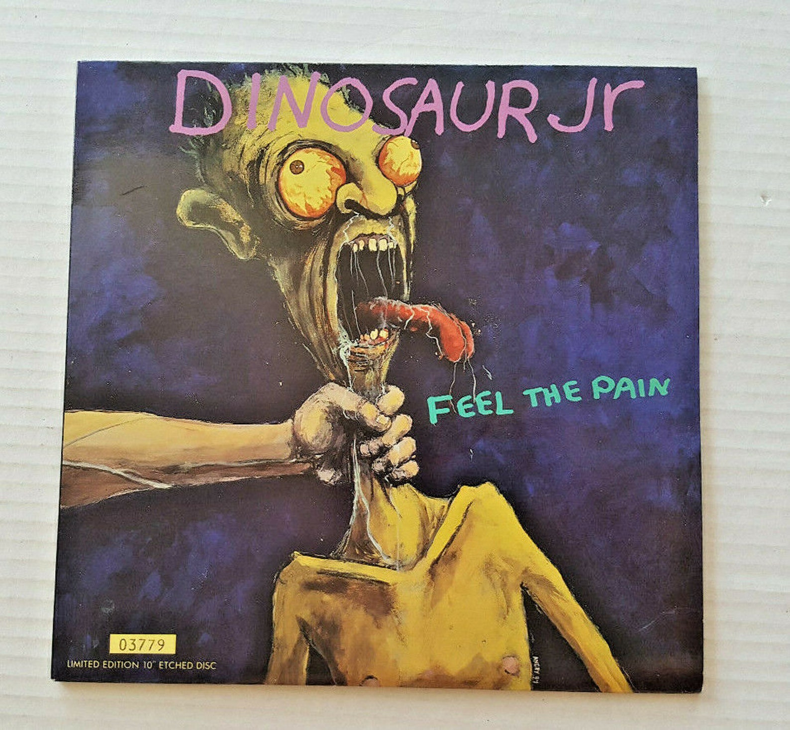 Dinosaur Jr Feel The Pain Lyrics