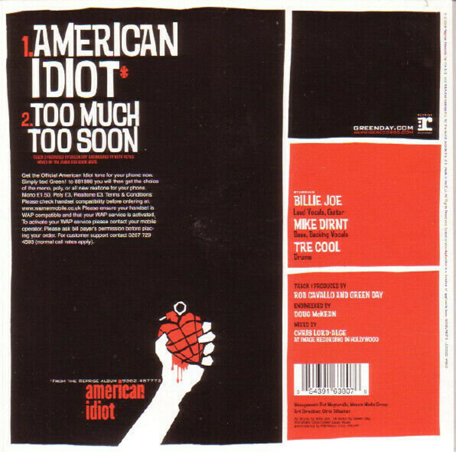 GREEN DAY American Idiot 7 Vinyl Record Picture Disc | Etsy