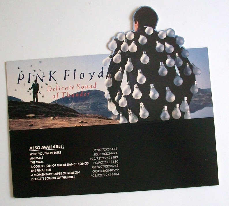 Pink Floyd Delicate Sound of Thunder 1988 Album Cover Canvas Art Poster Print Cd