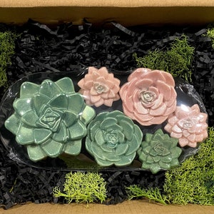 All Natural Succulent Soap Gift Box - Set of 6 w/ Stainless Dish - Moisturizing Goat Milk Hand & Body Bars - Organic Essential Oils 5 oz