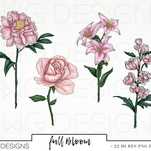 Flower Cart Fashion Girl Clip Art Watercolor Clipart Flowers Garden Spring Summer Market Floral Bouquets Rose Hand Drawn Sticker Graphics image 4