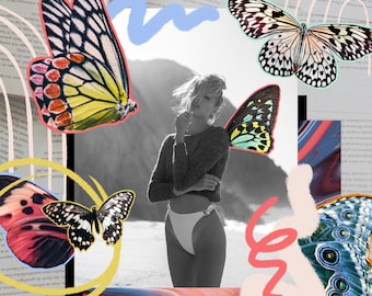 Butterfly Clipart Bundle: Brush Stroke Illustration Graphics (Digital Download)