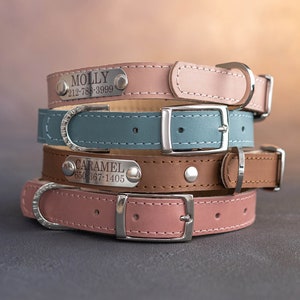 Leather dog collar personalized, dog collar boy, dog collar girl, dog collar engraved, dog collar with a name plate,