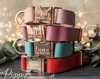 Gouden lederen halsband, gepersonaliseerde halsband, gepersonaliseerde lederen halsband, kattenhalsband, lederen kattenhalsband, gepersonaliseerde halsband