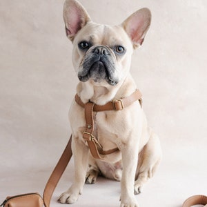 Dog harness, dog collar alternative, leather dog harness, cat harness, dog wear, dog accessories, dog gift, dog birthday gift, personalized