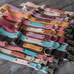 Collar de cuero para perros, collar de perro personalizado, collar de perro, cuero, hebilla ENGRV MÁQUINA LIBRE, collar de perro de cuero personalizado personalizado