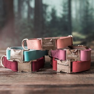 Leder Hundehalsband, Personalisiertes Hundehalsband, Personalisiertes Leder Hundehalsband, Katzenhalsband, Leder Katzenhalsband, personalisiertes Katzenhalsband