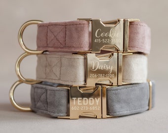 May include: Three velvet dog collars in pink, beige, and gray with gold metal buckles. Each collar has a personalized name and phone number engraved on the buckle. The names are "Cookie", "Daisy", and "Teddy".