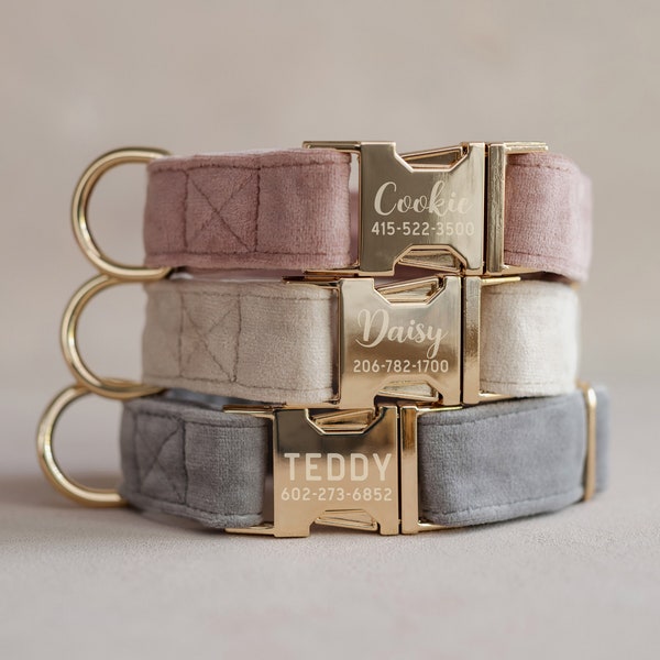 Samt Hundehalsband personalisiert, Hundehalsband personalisiert, Hundehalsband Mädchen, Hundehalsband graviert, veganes Hundehalsband, Stoff Hundehalsband, GOLD