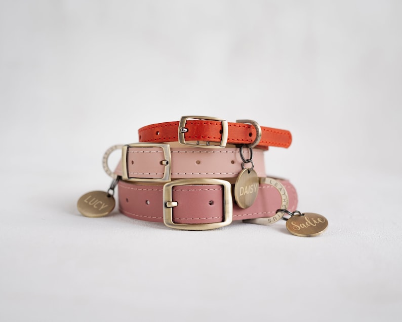Dog collar leather, dog collar personalized, dog collar girl, dog collar boy, cat collar, puppy collar, pin buckle collar anti-brass image 10