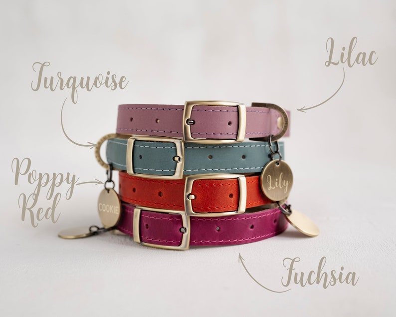 Dog Collar Leather Dog Collar Personalized Dog Collar Girl Etsy