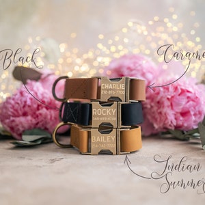 Dog collar Leather, dog collar personalized, dog collar girl, dog collar boy, dog collar with ANTI-BRASS color buckle leather RUSTIC buckle image 5