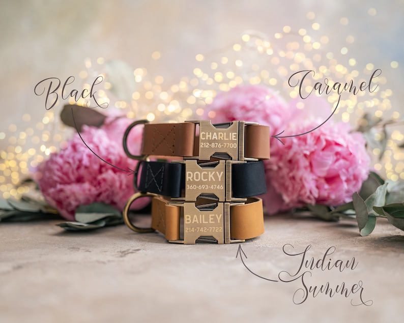 Dog collar Leather, dog collar personalized, dog collar girl, dog collar boy, dog collar with ANTI-BRASS color buckle leather RUSTIC buckle zdjęcie 5