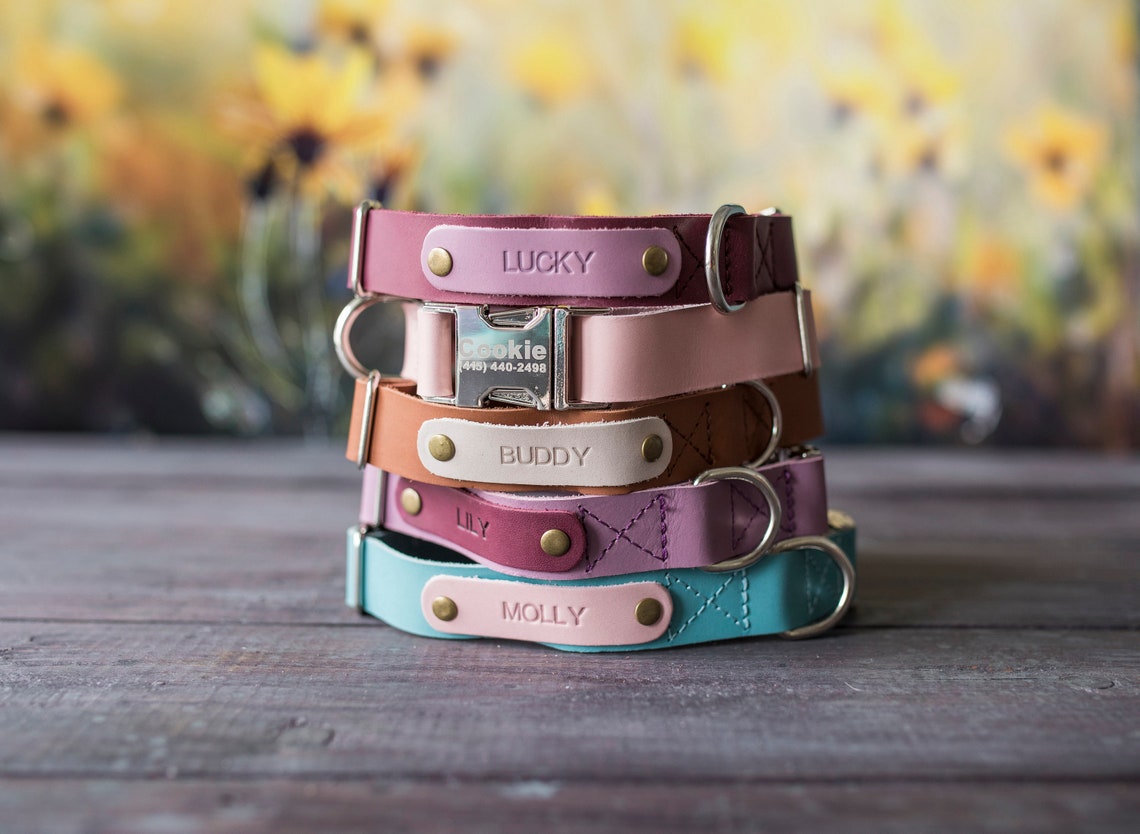 Engraved Leather Dog Collar Personalized Dog Collar Dog - Etsy