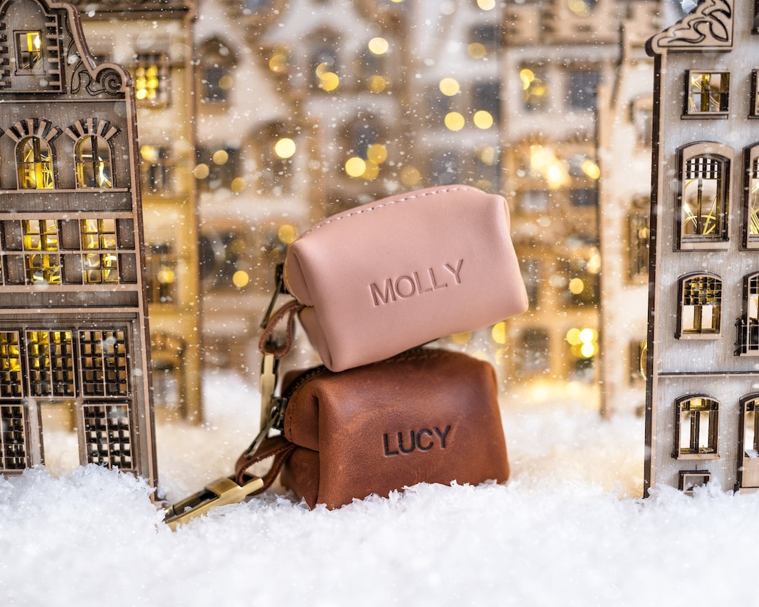 Porta sacchetti per escrementi di cane, Porta sacchetti per