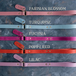 May include: Five leather dog leashes in different colors, including pink, blue, red, purple, and fuchsia. Each leash has a metal clasp and a small tag with a name on it. The leashes are arranged in a row on a gray textured surface. The names on the tags are Bella, Luna, Sadie, Rosie, and Lily.