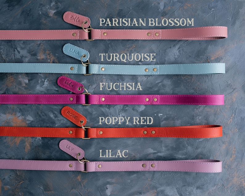 May include: Five leather dog leashes in different colors, including pink, blue, red, purple, and fuchsia. Each leash has a metal clasp and a small tag with a name on it. The leashes are arranged in a row on a gray textured surface. The names on the tags are Bella, Luna, Sadie, Rosie, and Lily.