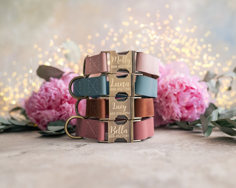 Dog collar Leather, dog collar personalized, dog collar girl, dog collar boy, dog collar with ANTI-BRASS color buckle leather RUSTIC buckle zdjęcie 8